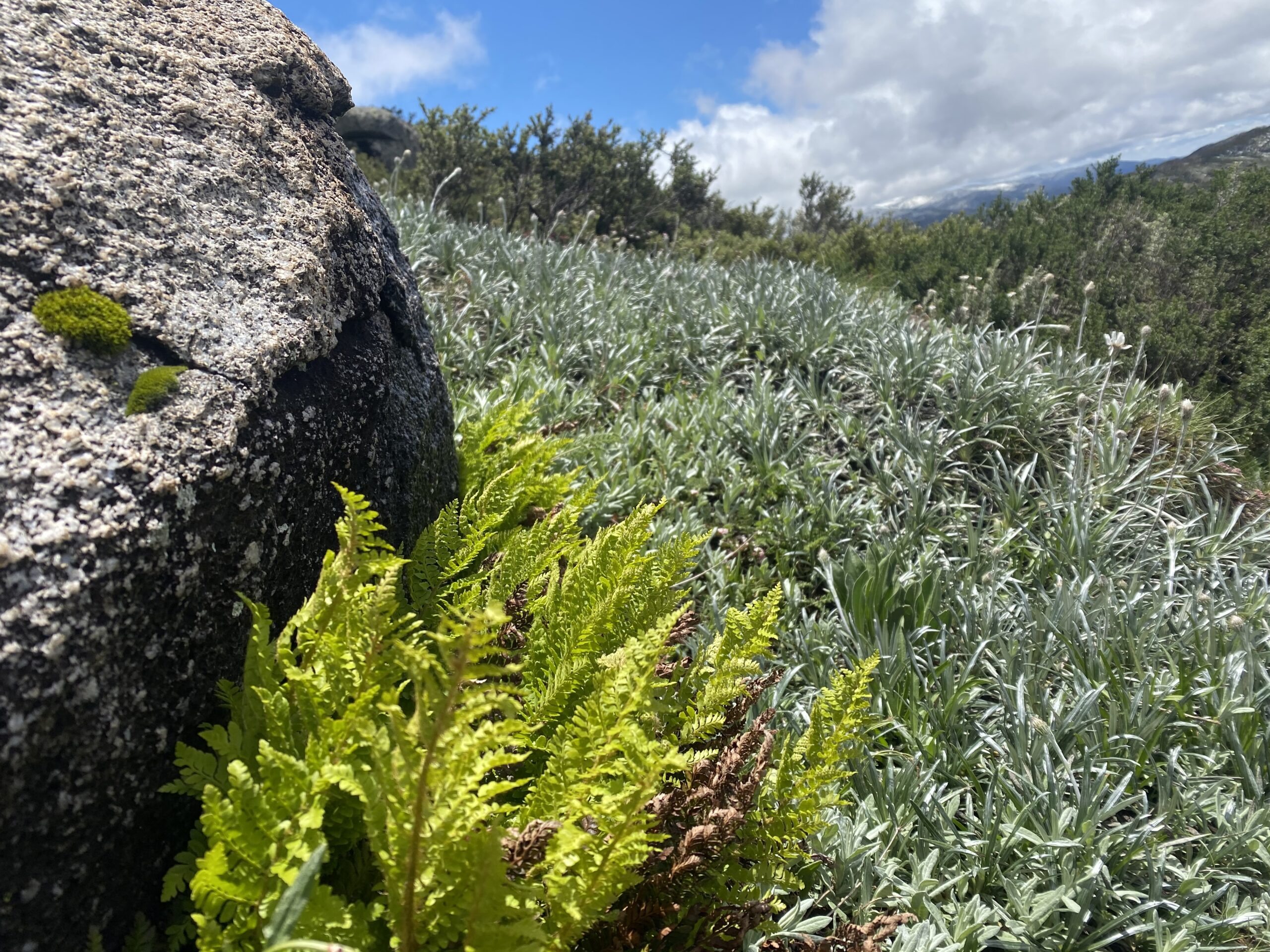 Why Charlotte Pass accommodation should be your adventure home base this summer (instead of Jindabyne)