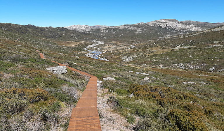 Guthega to Charlotte Pass Boardwalk – Now Open!